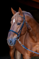 20081025_EKL_0022