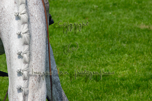 20130608_EKL_0272