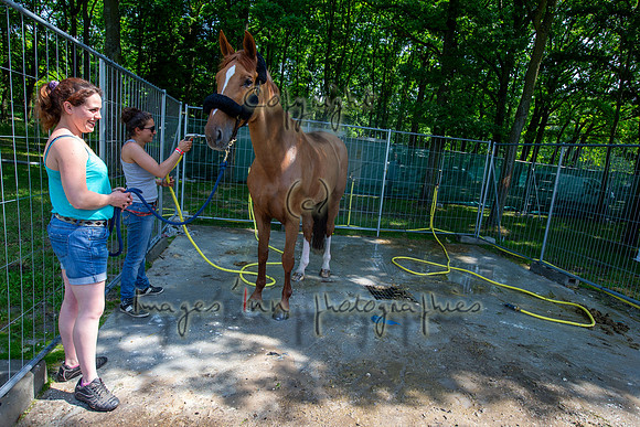 20130608_EKL_0042