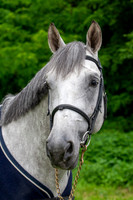 20080607_EKL_0006