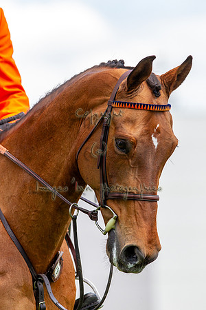 20130517_EKL_0651