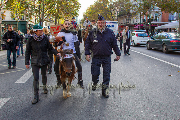 20131111_EKL_0079