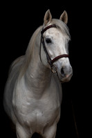 20081030_EKL_0012