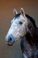 20081025_EKL_0029