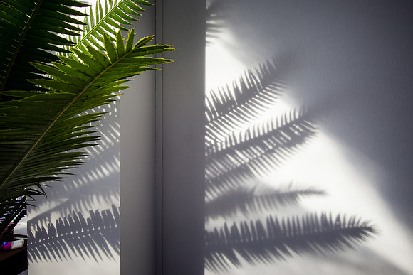 20100923_EKL_0722