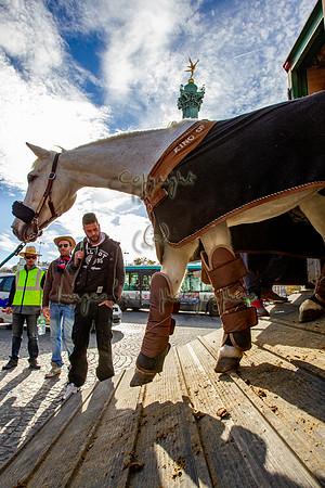 20131111_EKL_0034