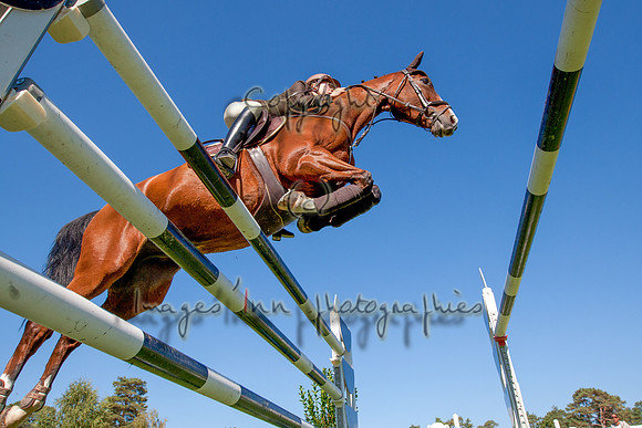 20120930_EKL_0024