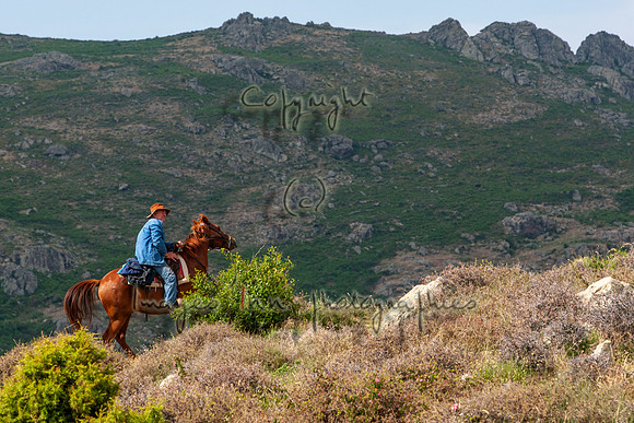 20090610_EKL_0080