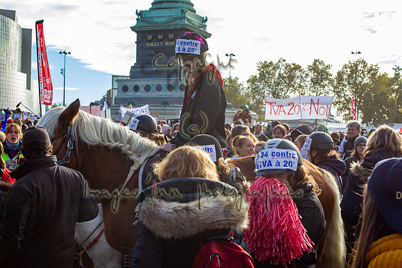 20131111_EKL_0067