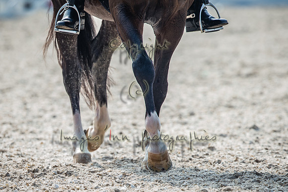 20150812_EKL_0338