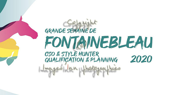 Fontainebleau 2020 SHF