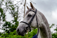 20080607_EKL_0012