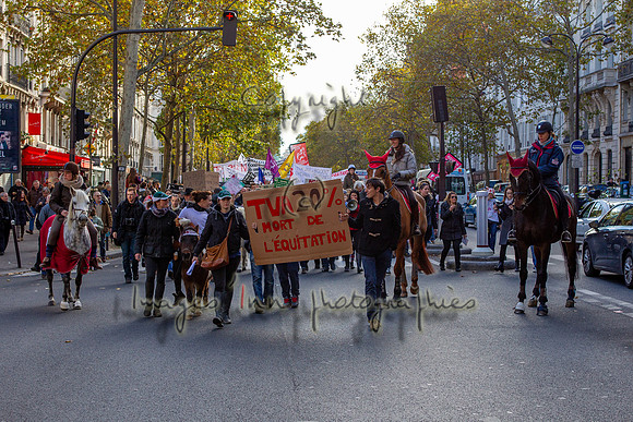 20131111_EKL_0085