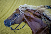 20150814_EKL_0432