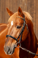 20081025_EKL_0011