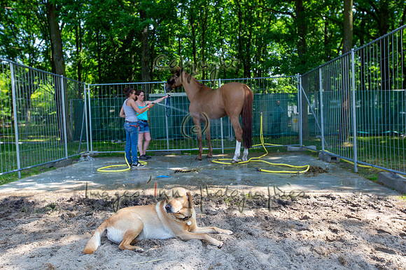 20130608_EKL_0038