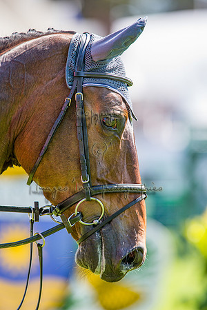 20140515_EKL_0026