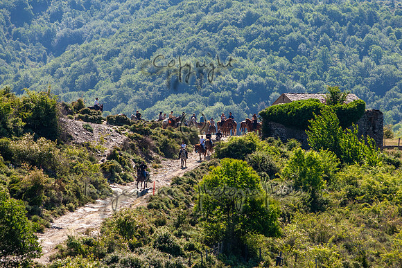 20090612_EKL_0005