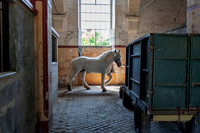20080729_EKL_0010