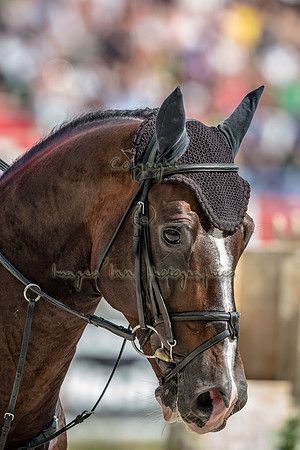 20140907_EKL_0032