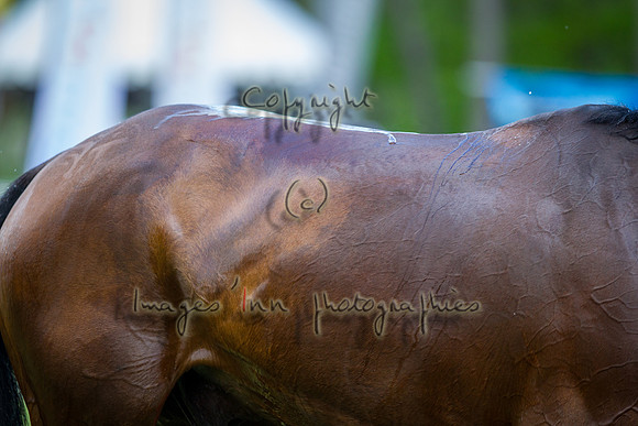 20130525_EKL_0400