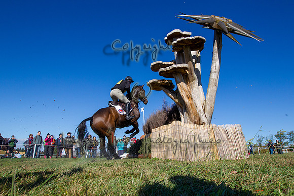 20121027_EKL_0135