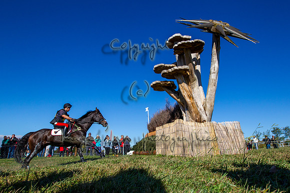 20121027_EKL_0137