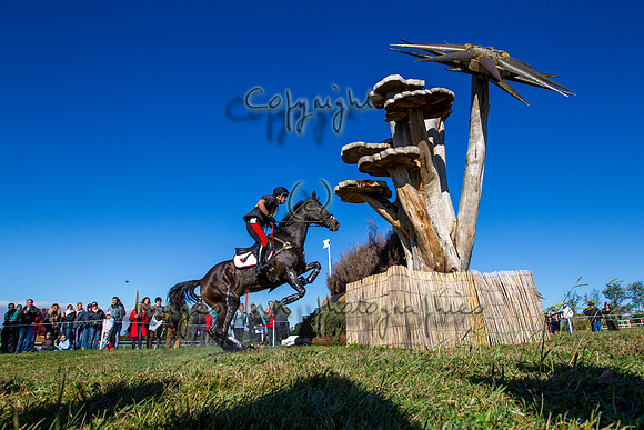 20121027_EKL_0138