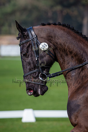 20150320_EKL_0102