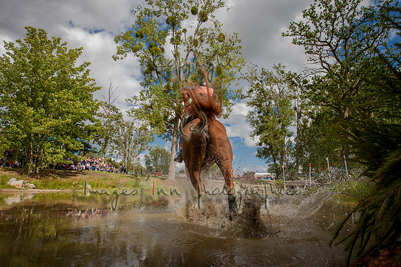 20120825_EKL_0210