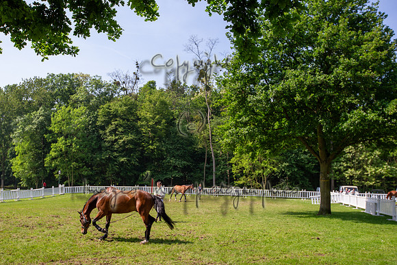 20130608_EKL_0023