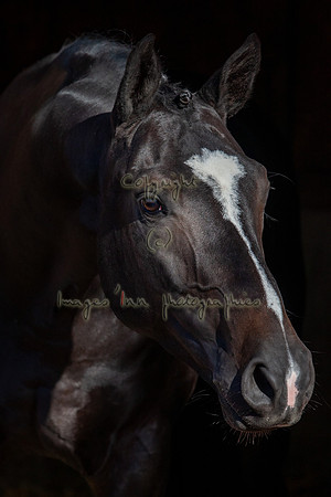 20081003_EKL_0061