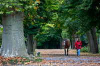 20081030_EKL_0005