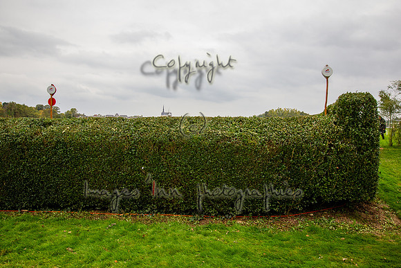20151016_EKL_0002