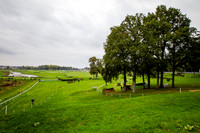 20151016_EKL_0005