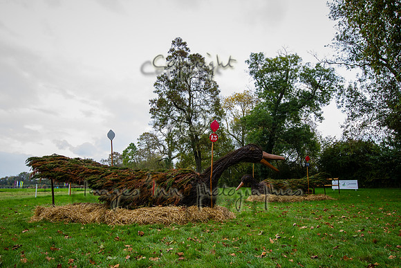 20151016_EKL_0041