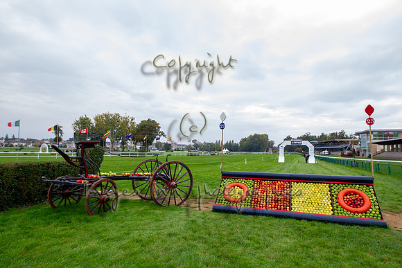 20151016_EKL_0089