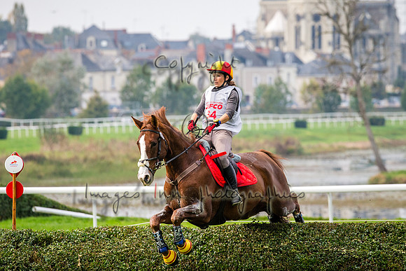 20151017_EKL_0266