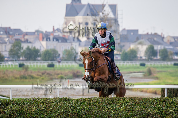 20151017_EKL_0293