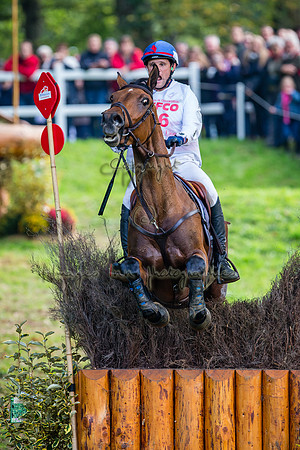 20151017_EKL_0299