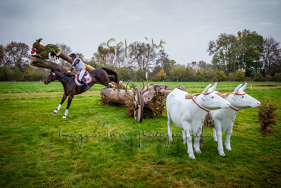 20151017_EKL_0034