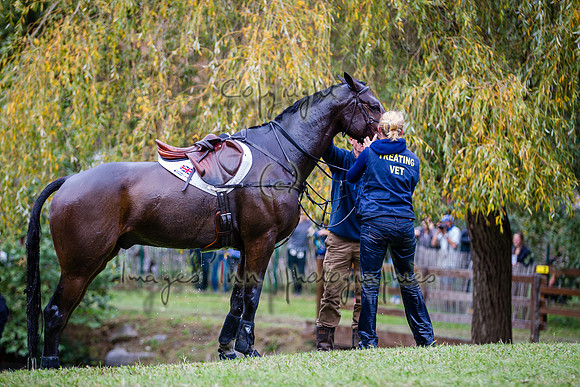 20151024_EKL_0220