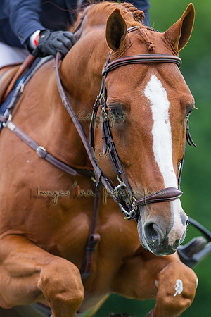 20120603_EKL_0119