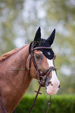 20200908_EKL_0027