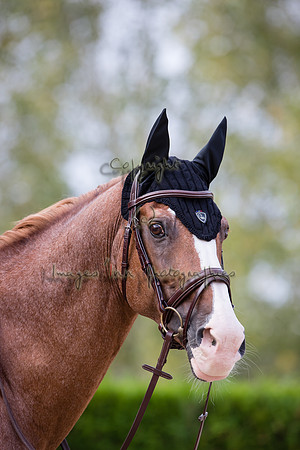 20200908_EKL_0028