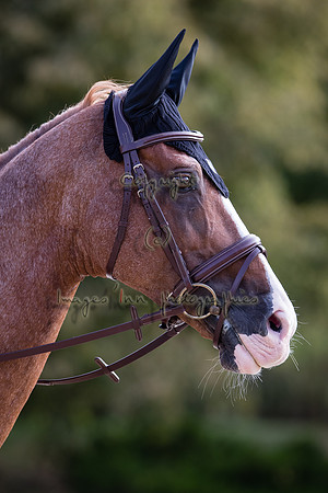 20200908_EKL_0218