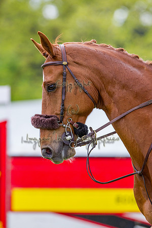 20130512_EKL_0003