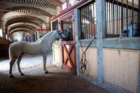 20080729_EKL_0018