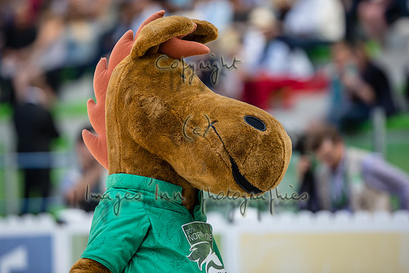 20140904_EKL_0001