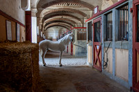 20080729_EKL_0013